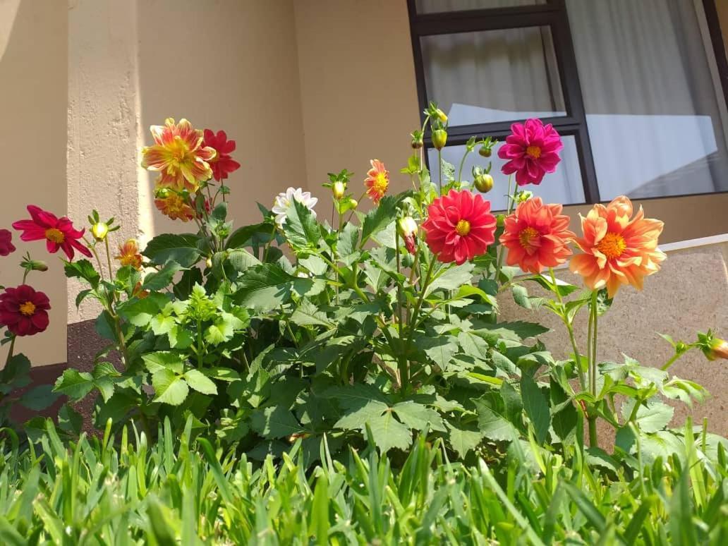 Styled Bed And Breakfast Palapye Екстер'єр фото